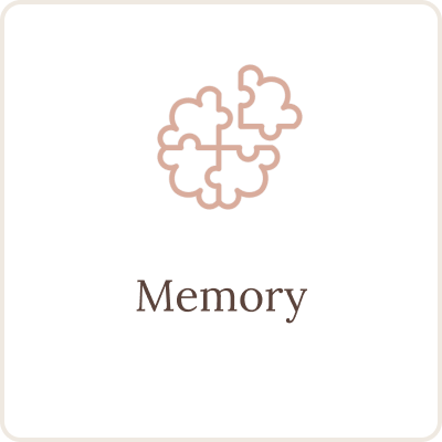 memory-card